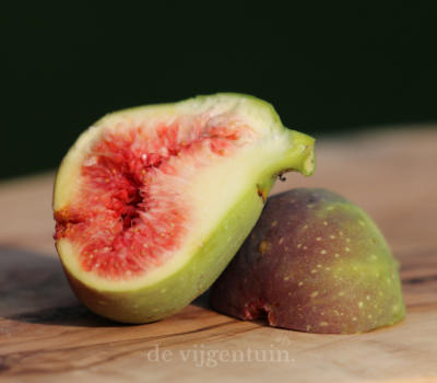 Goutte d'Or cutting