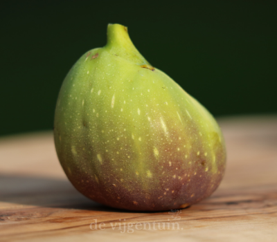 Goutte d'Or cutting
