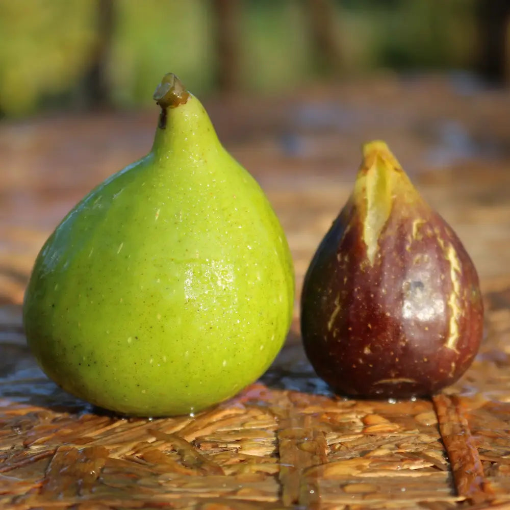 Excel Cutting Cutting