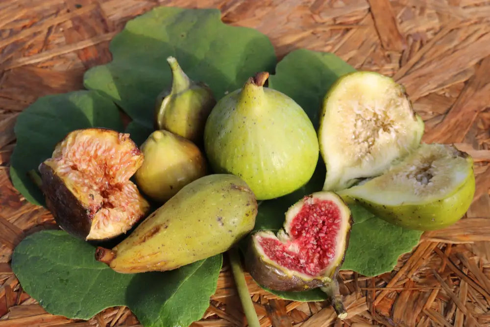 Excel Cutting Cutting