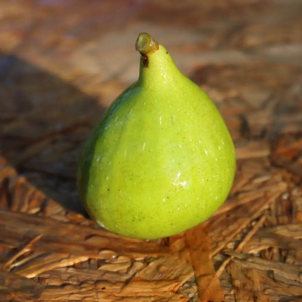 Excel Cutting Cutting