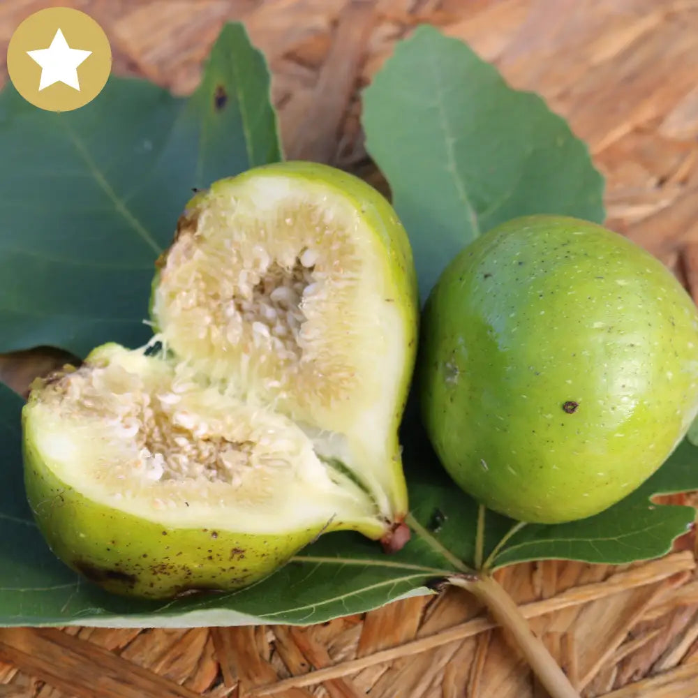 Excel Cutting Cutting