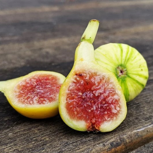 Baldufada Rimada cutting