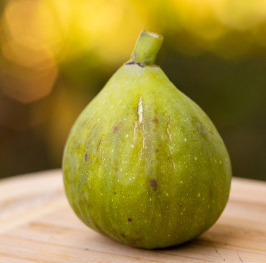 Strawberry Verte cutting